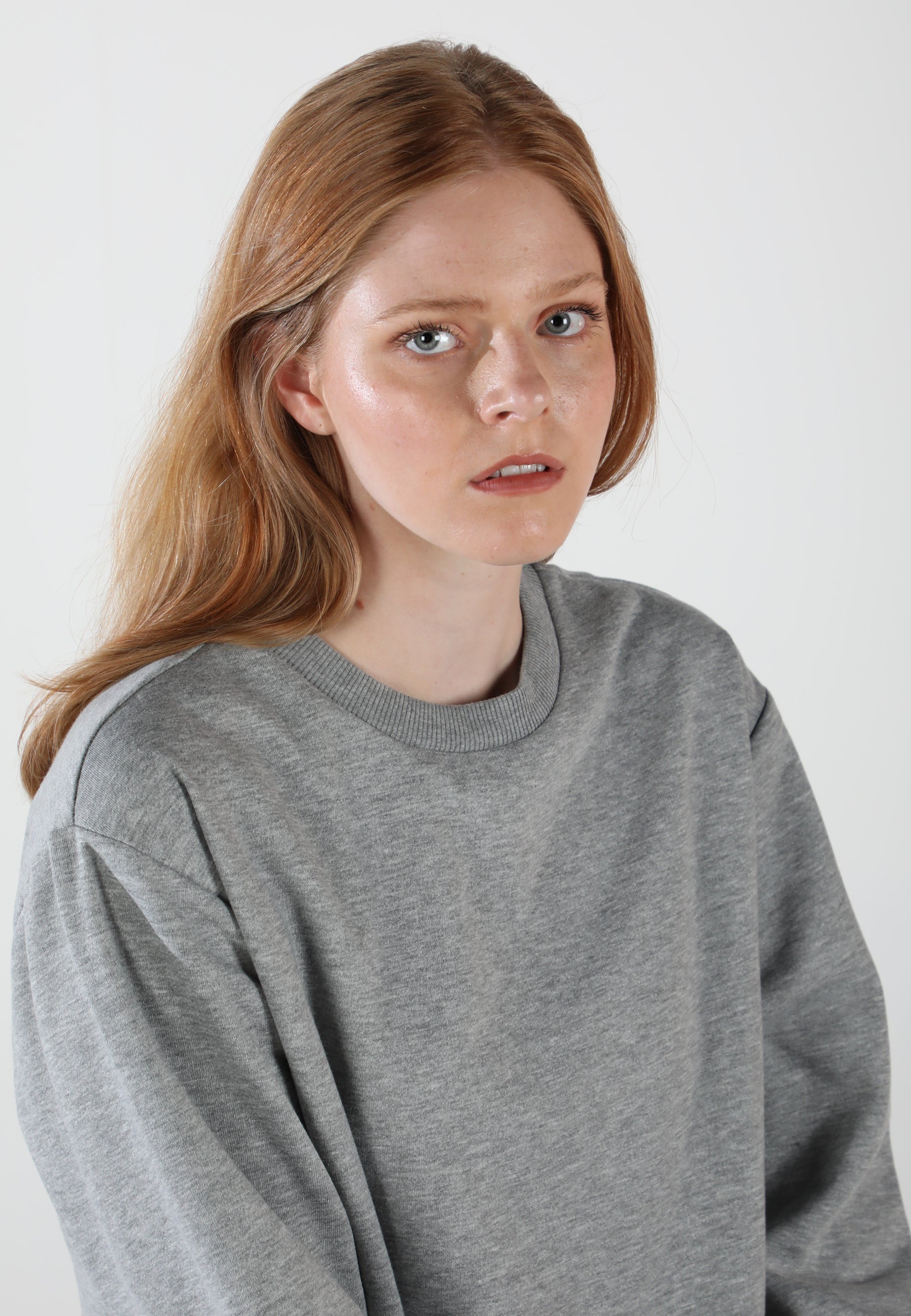 Oversized Crewneck Sweatshirt / Moon Grey