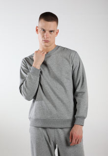 Oversized Crewneck Sweatshirt / Moon Grey