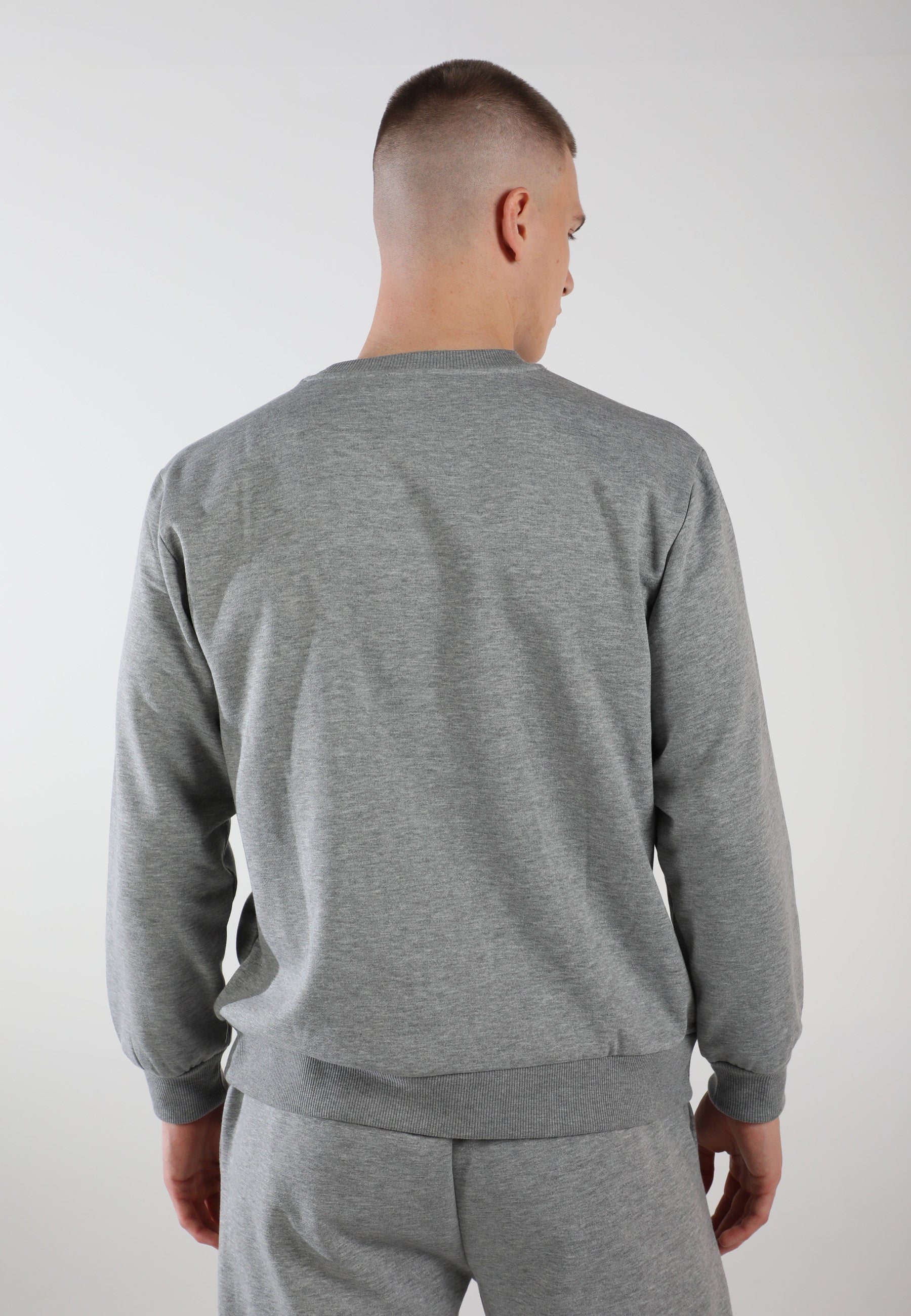 Oversized Crewneck Sweatshirt / Moon Grey