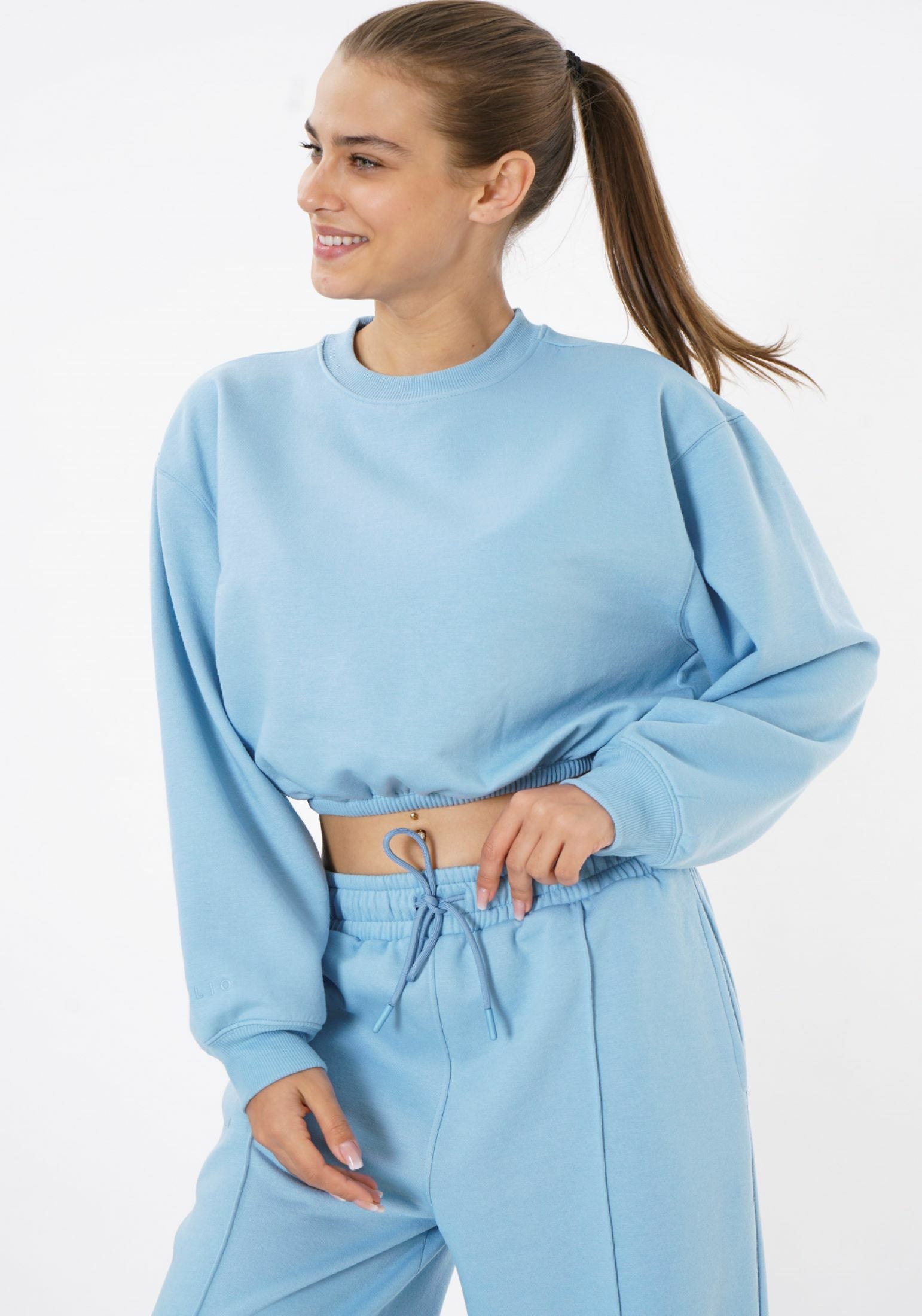 Cropped Crewneck Sweatshirt / Ice Blue