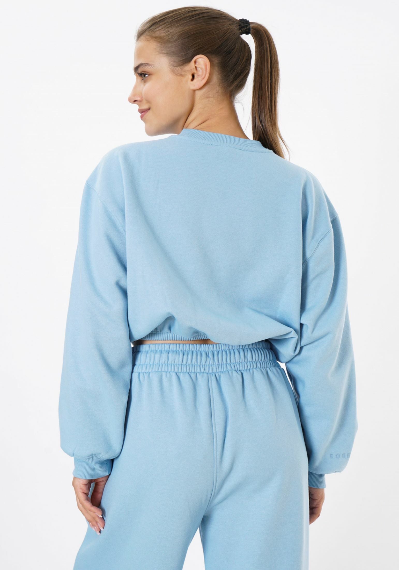 Cropped Crewneck Sweatshirt / Ice Blue