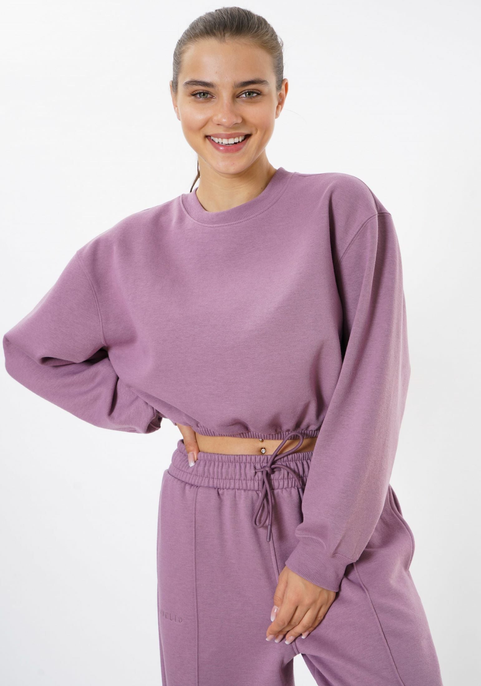 Cropped Crewneck Sweatshirt / Plum